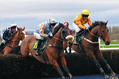 horse racing and obstacles