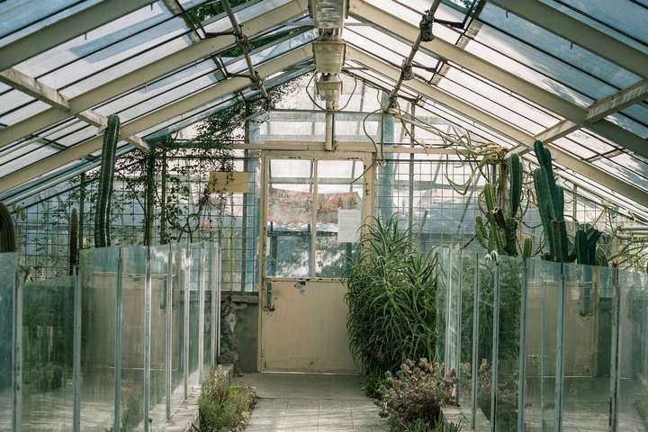 Glass Greenhouse