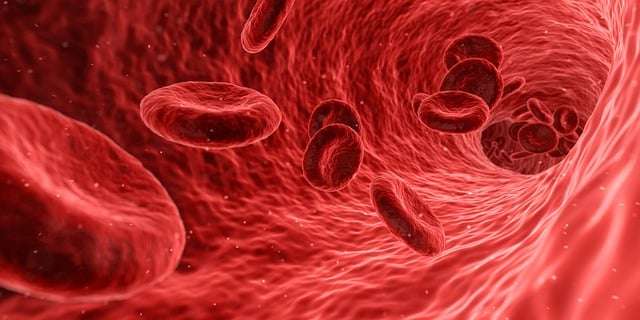 BLOOD RED CELLS